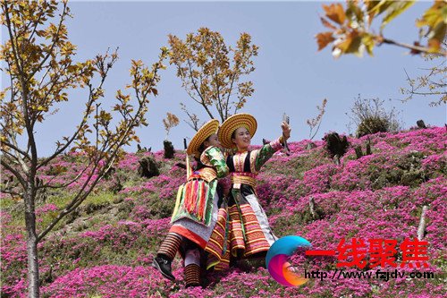 湖南隆回：醉美在龙瑶  花开花时节