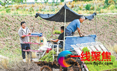 <b>三夏进行时|新农人的农忙时分</b>