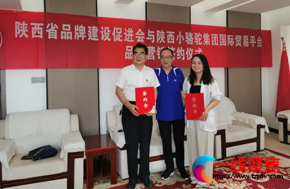 <b>陕西省企业品牌建设促进会与陕西小骆驼海外仓集团签约战略合作框架协议</b>