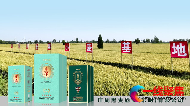 <b>庄周黑麦酒业系列报道（一）：庄周文化是黑麦酒业发展的奠基石</b>