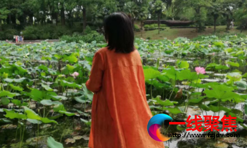 网络诗咖诗仙子胡敏诗集（七十七）
