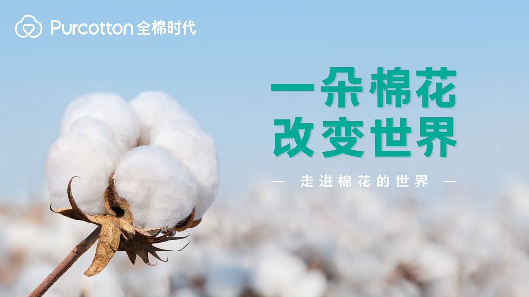 一朵棉花改变世界 全棉时代溯源纪录片上线