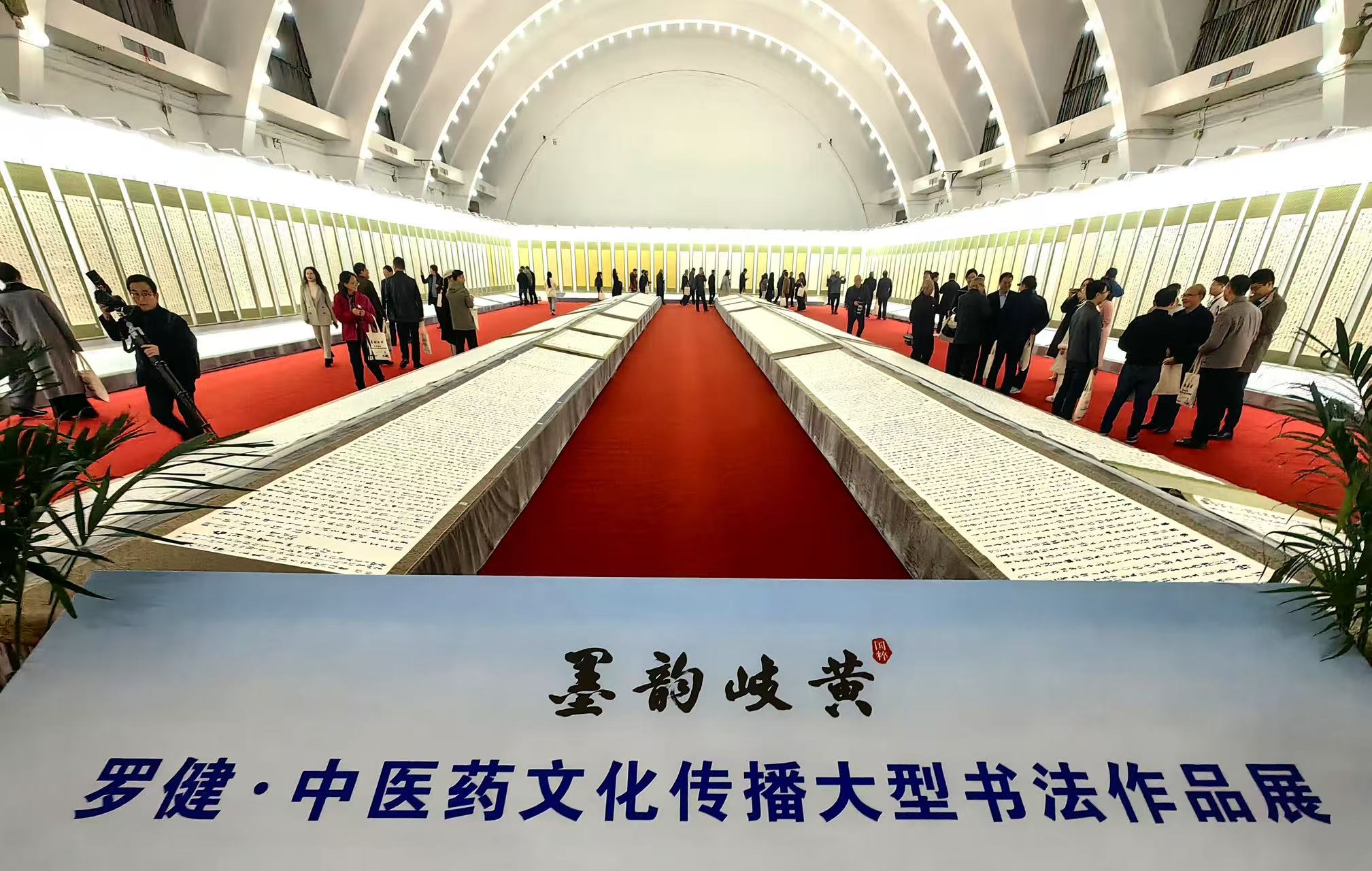 中医药文化与书法艺术完美邂逅，“墨韵岐黄”罗健中医药文化传播大型书法作