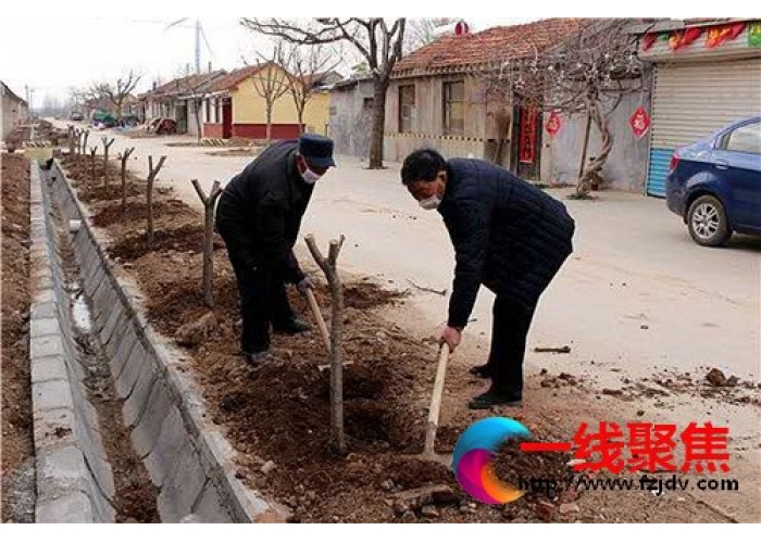 山东诸城石桥子镇：春暖花开季 植树绿化忙