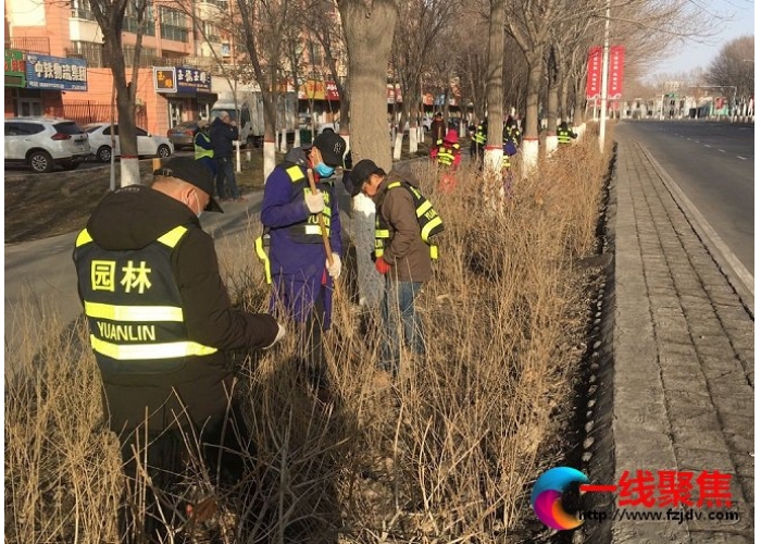 游憩广场管理所快速打响春季绿化攻坚战