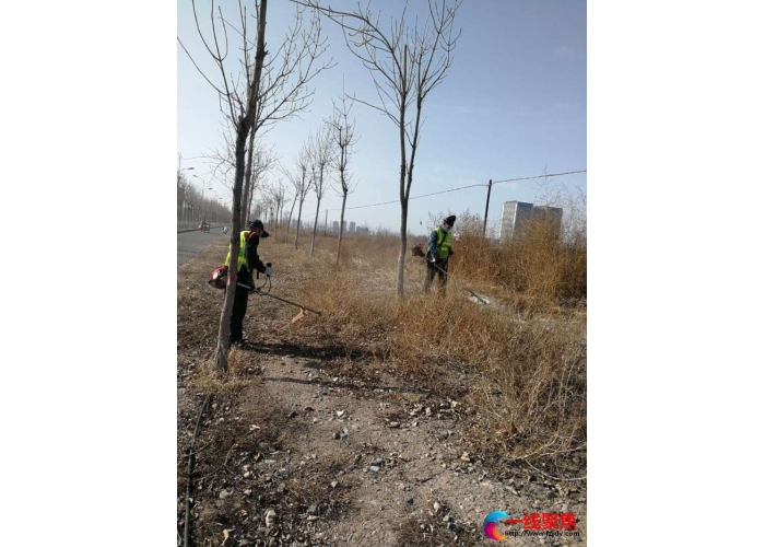 园林二级考核组开展除草“歼灭”战