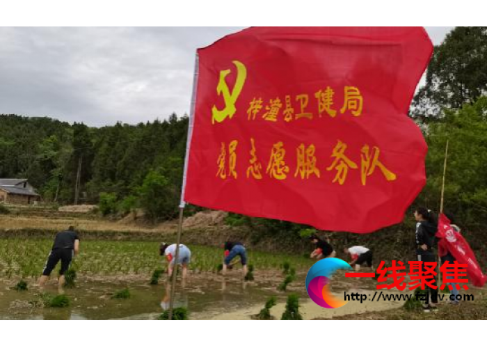 梓潼卫健局：助耕“关秧门”，结对聚活力