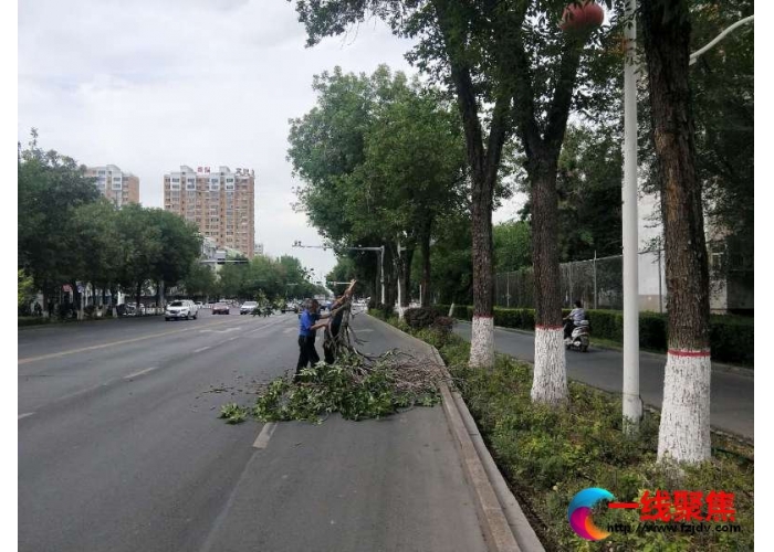 树枝断裂存隐患   城管清理保安全