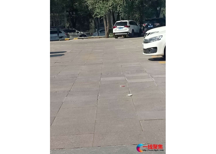 争做文明市民 提升城市品质