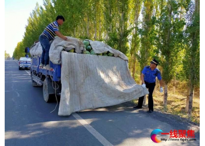 一路抛撒西瓜  城管紧急处置