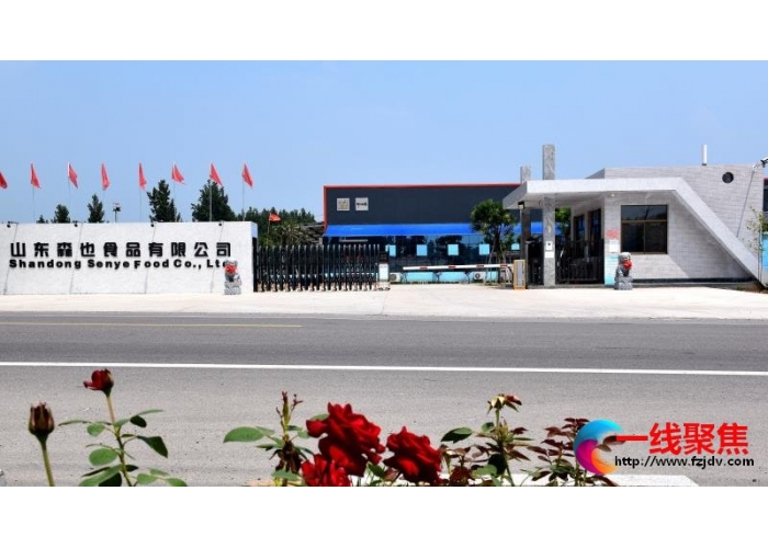 山东诸城石桥子镇做好“四力”功课 全面提升基层党组织组织力