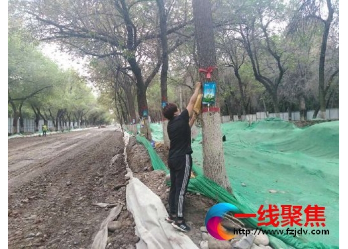 多措并举加强绿化养护管理工作