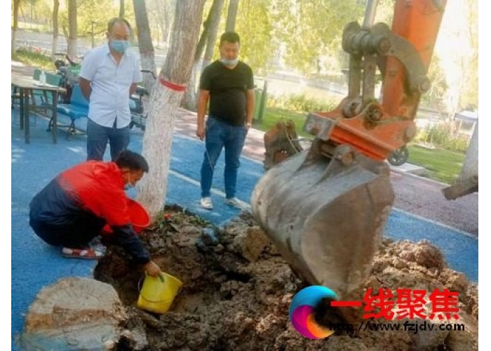 园林部门解决绿化用水管线破裂问题