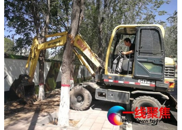 治理黄土裸露 提升道路颜值
