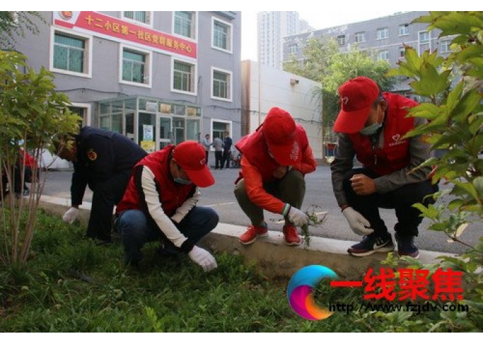 党员志愿劳动  扮靓社区环境