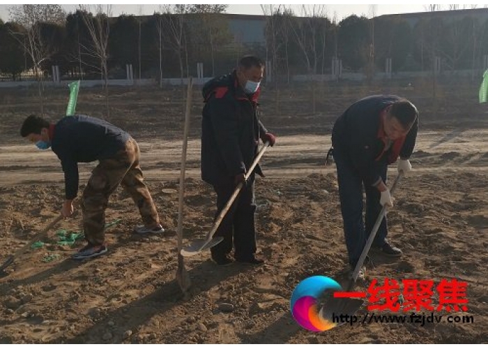 天富集团百名员工参加师市秋季义务植树劳动