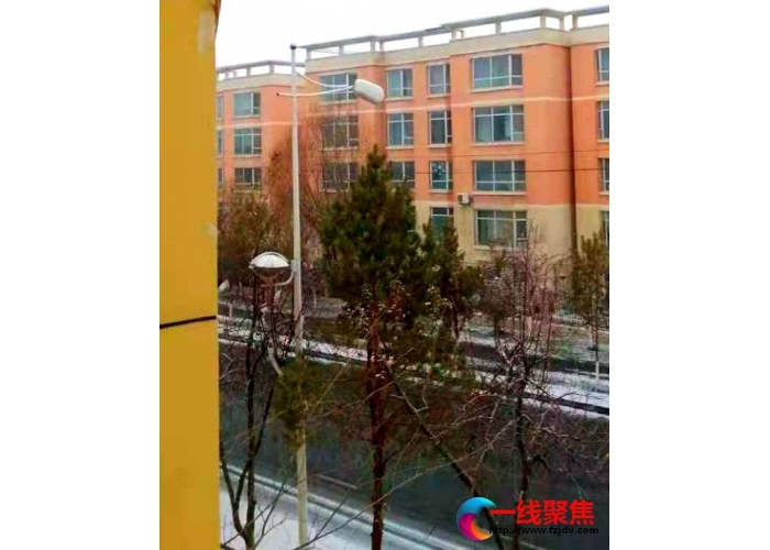 市民举报  快速处置