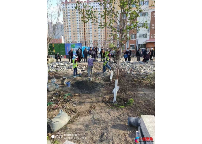 学党史 见行动 修建便民道