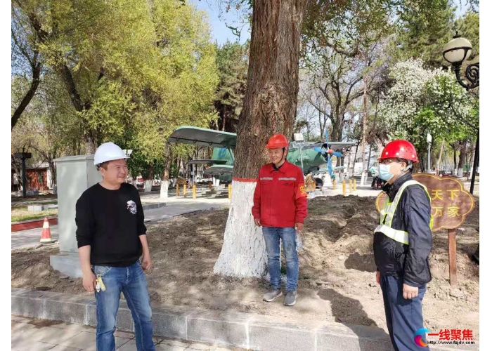 亮化办加快推进军垦风貌区工程建设