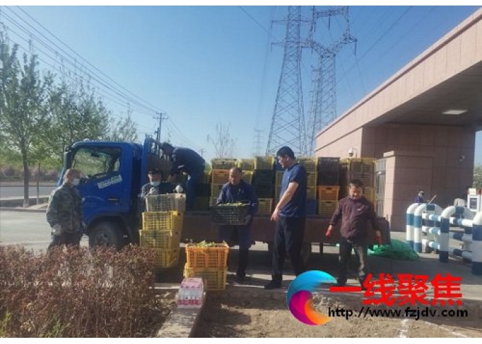 园林工人在高新区栽种五千余株花卉 
