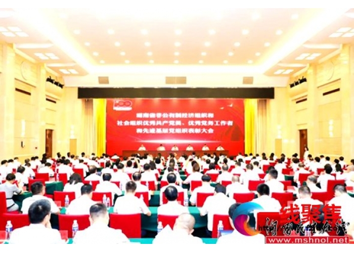 绿之韵集团党委书记刘云被授予湖南省“优秀党务工作者”荣誉称号