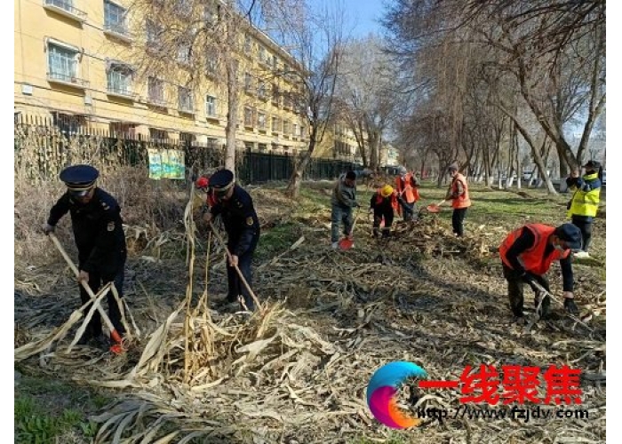 新疆石河子市园林绿化养护中心清理违规菜地 助力文明创建