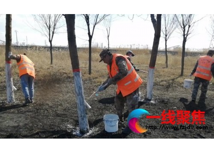 新疆石河子市树木换“新装”了