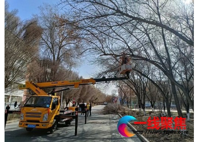 守护城市家园的园林人