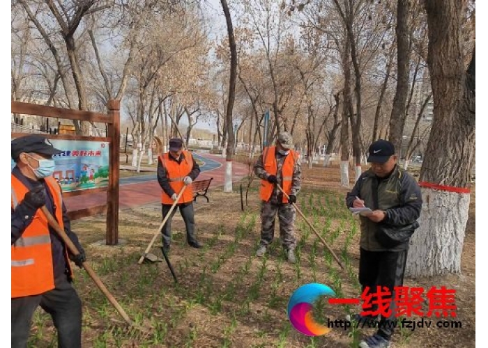 全面补植增绿提升道路景观