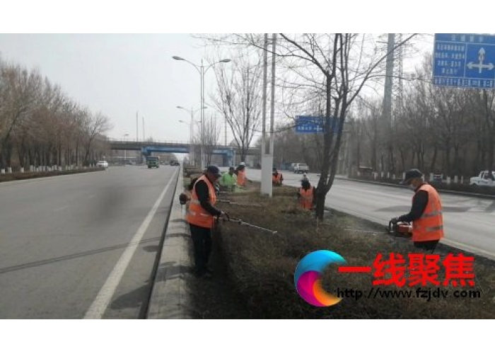 绿化正当时  不负好时光
