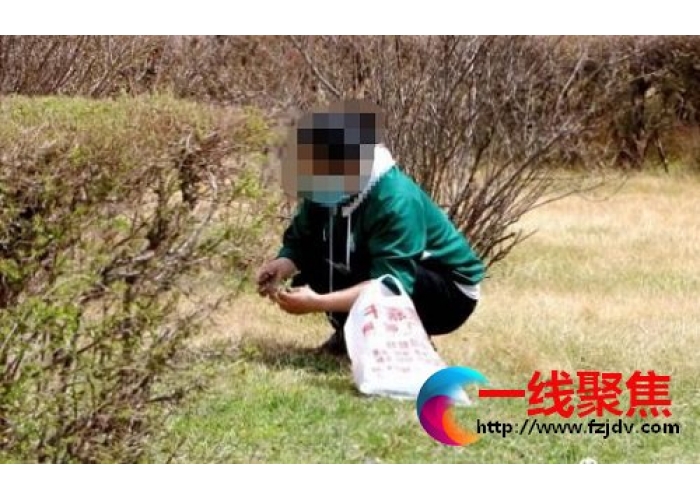 春暖游园正当时  不文明行为煞风景