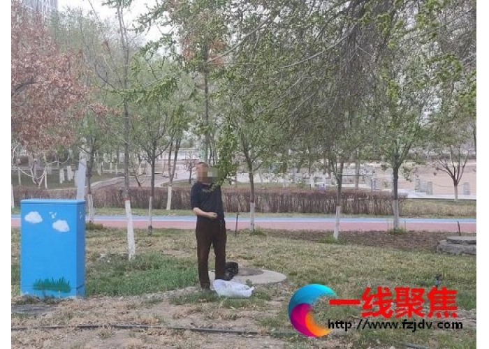 折树枝摘榆钱 园林绿化养护中心制止不文明采摘行为