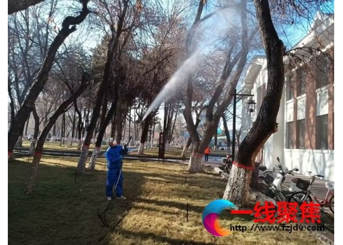 开展春季绿化管护工作  全力提升城区绿化“颜值”