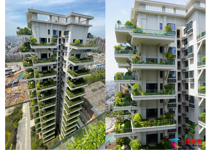 最近被疯传的网红神秘花园楼盘，原来就在四川眉山—
