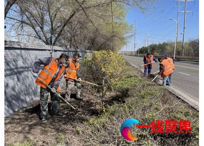 新疆石河子市园林绿化养护中心多措并举提升精细化绿化管理水平