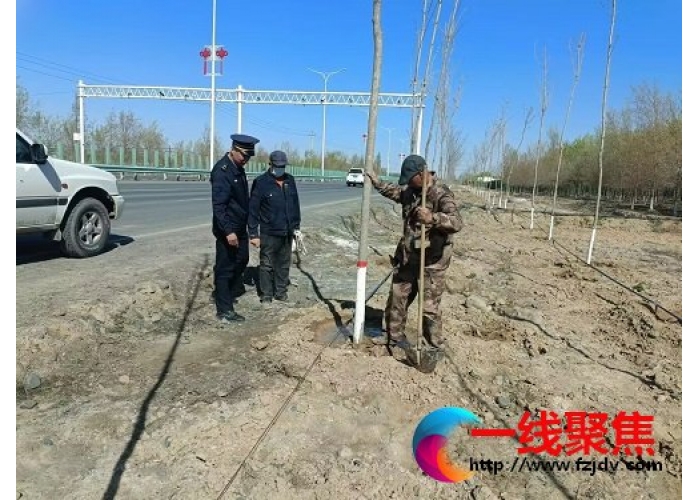 抓住黄金时节开展苗木补种补植