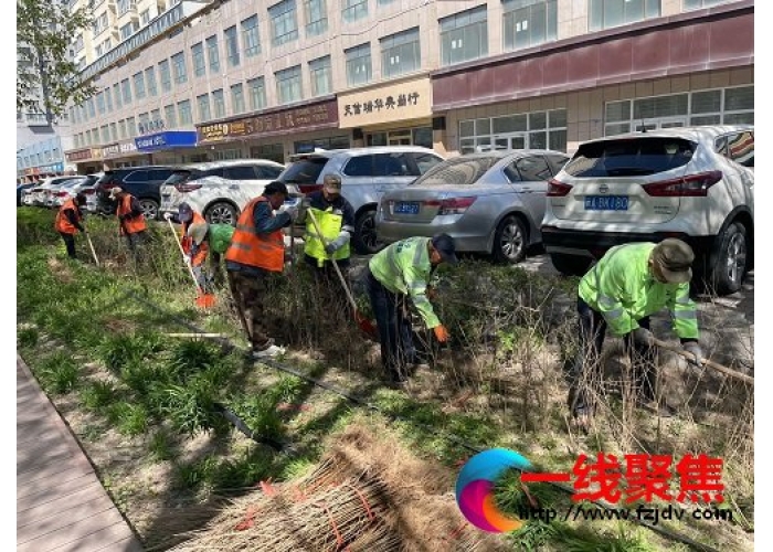 精细化管理园林植物 增强城市“绿色颜值”