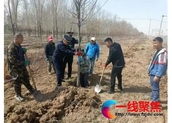 新疆石河子市：机场路补植2500余株树木 打造一条漂亮的景观大道