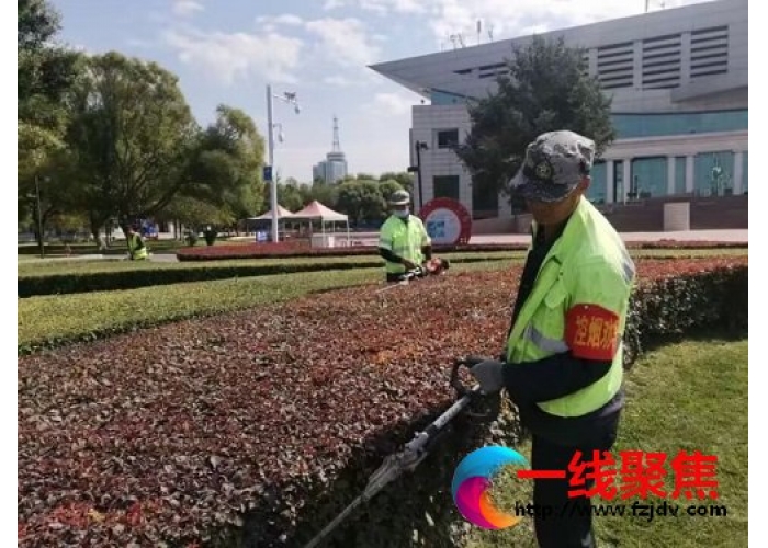 新疆石河子：春季扮靓好时节 园林绿化修剪忙