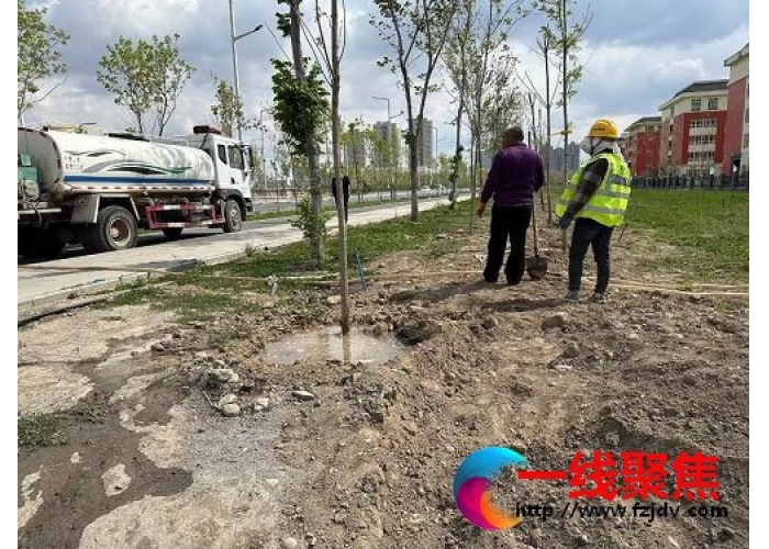 新疆石河子：加强新栽树木管护 助力创建国家生态园林城市
