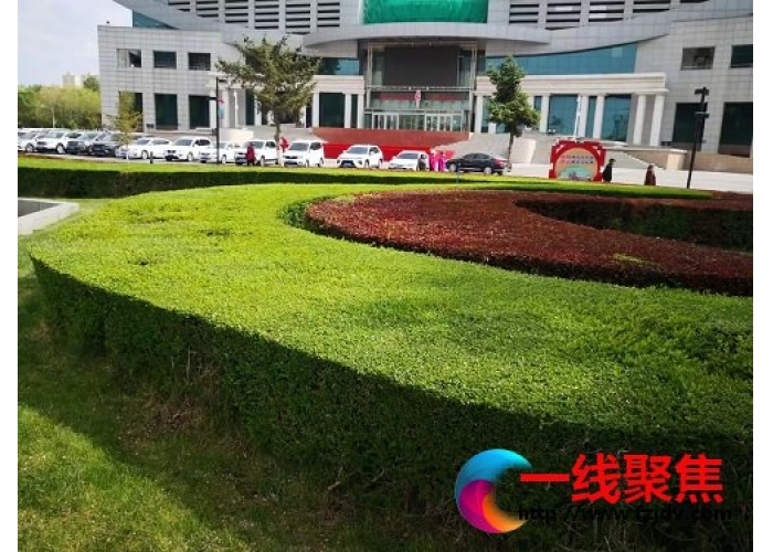 美丽石城，我为你“绘绿 绣花”