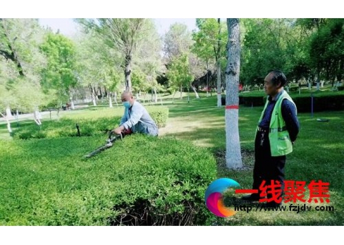 把课堂搬到现场 把技术握在手中——石河子市园林绿化养护中心组织开展植物