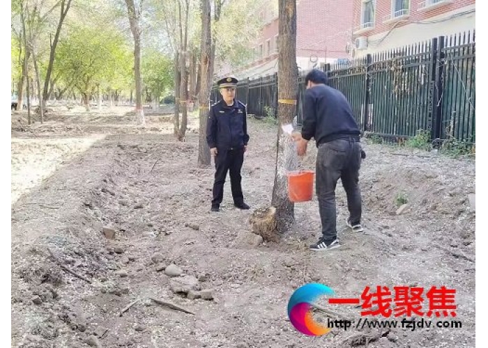 园林绿化养护中心为移栽树木“穿衣美颜” 助力 国家生态园林城市创建