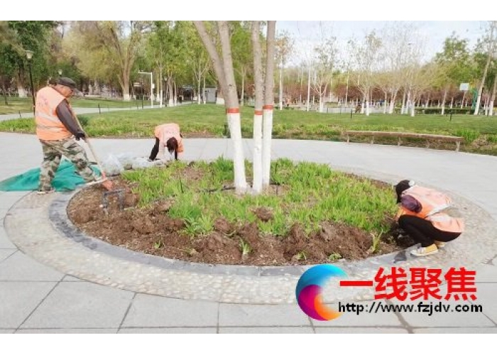新疆石河子：花红城绿人更美
