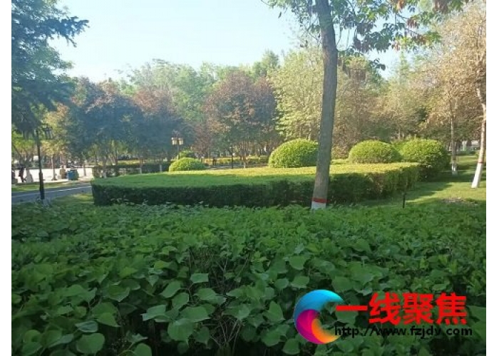 新疆石河子：以“绿色”绘就生态美丽景色——创建国家生态园林城市