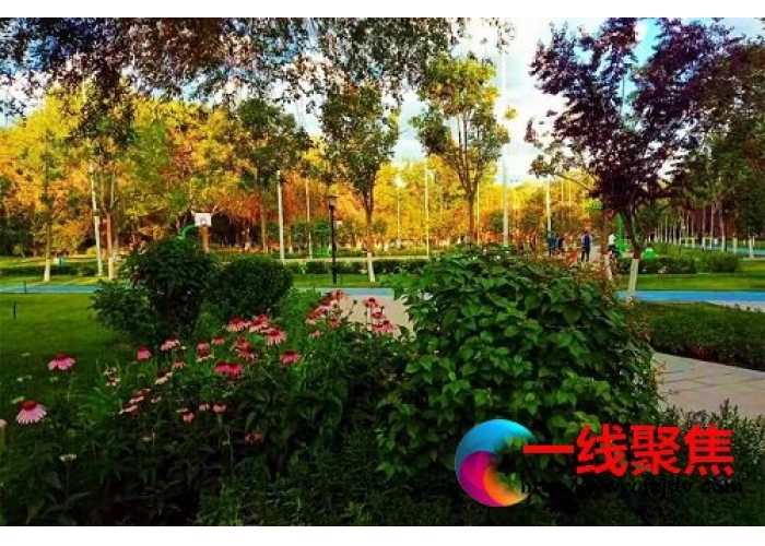 绿色家园   共建共享