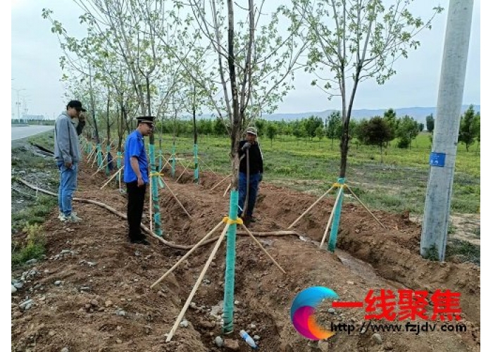 全力创建国家生态园林城市 打造生态宜居“戈壁明珠”