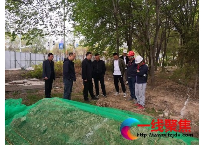 全力以赴推进园林绿化精品工程建设