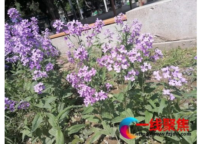 这一片小清新，很美