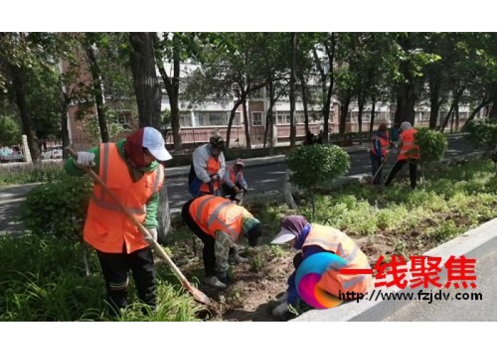 加强精细化管理  助力创建国家生态园林城市